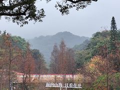 -云溪植物园