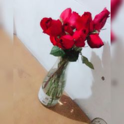 -世纪缘珠宝(济南品牌店)