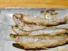 -镹·鱼料理  国产鱼使用店