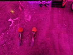 -星聚会KTV X Party(上海真如中海环宇城店)