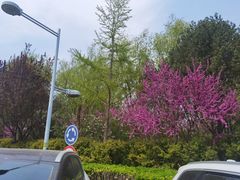 -和颐酒店(北京中关村软件园店)