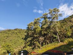 -梧桐山风景名胜区