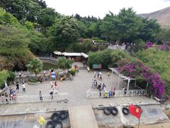 -南诏风情岛