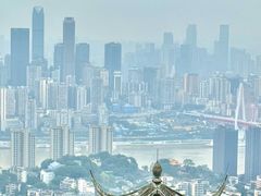 -南山植物园