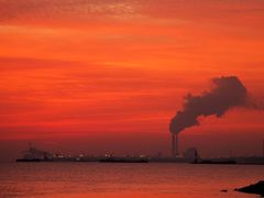 -上海吴淞炮台湾国家湿地公园