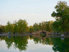 -金塔沙漠胡杨林景区