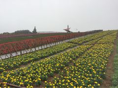 -东部华侨城