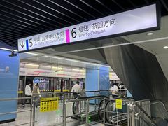 -大龙山(地铁站)