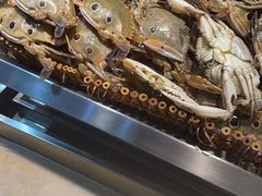 -吉布鲁牛排海鲜自助(成都大悦城店)