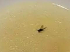 -高老庄新家宴(北斗星广场店)