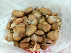 -洪湖里王姐大乌豆