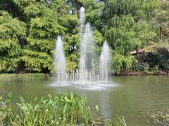 -上海共青森林公园