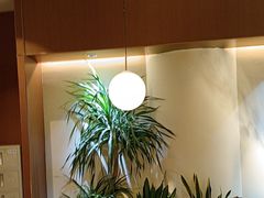 -奈雪的茶(石家庄万象城店)