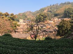 -杨家堂村