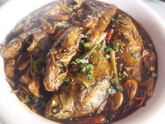 -天鹅到家·保姆月嫂育儿嫂(浦东店)