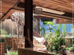 -渔太泰漓江小馆·广西融合菜(西街店)