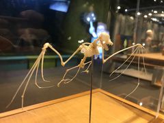 -香港科学馆