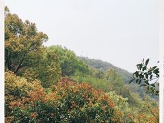 -杭州半山国家森林公园