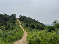-青龙山国家森林公园