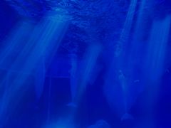 -上海海昌海洋公园-冰山北极馆