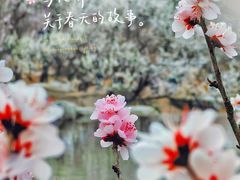 -国家植物园