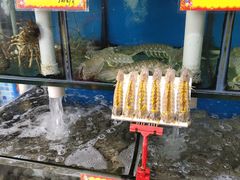 水产区-蚝专家(北滘店)
