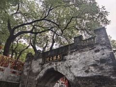 -大槐树寻根祭祖园