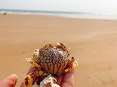 -青岛银沙滩
