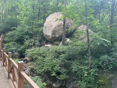 -大岭沟猕猴桃谷风景区