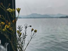 -柳莺湖上·湖景餐厅·江南菜(西湖店)