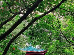 -岳麓山风景名胜区