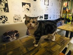 -小时光咖啡馆(开森度假森林店)