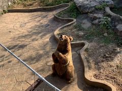 -无锡动物园·太湖欢乐园