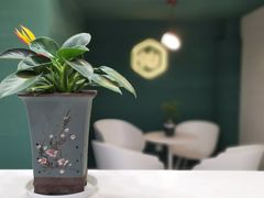 -仙雨林·奶茶鲜果茶(书院巷店)