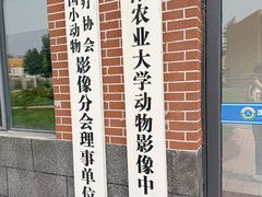 -派美特宠物医院·核磁CT·骨科肿瘤·疑难转诊(沈农禾丰店)