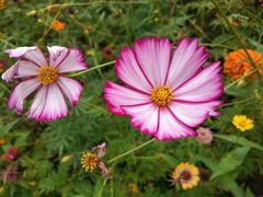 -白鹭湾湿地公园