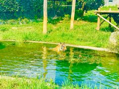 -泉州海丝野生动物世界