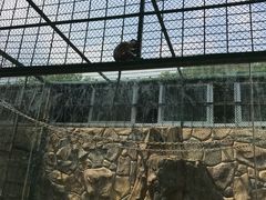 -泉州海丝野生动物世界