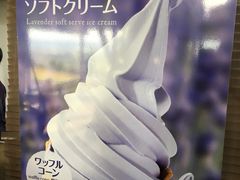 -富田农场