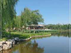 -西海子公园