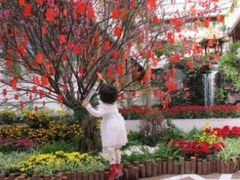 IMG_0770-广州白天鹅宾馆