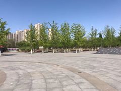 -永定河休闲森林公园