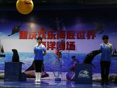 -重庆欢乐海底世界