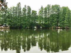 -华南国家植物园-售票处