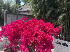-红螺寺