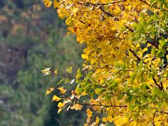 -白帝城·瞿塘峡景区