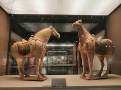 -西安大唐西市博物馆