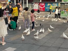 -江燕路万科里