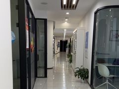 -新航道·雅思托福·Alevel AP·留学考研(光谷校区)