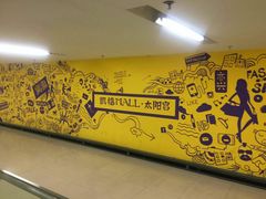 -凯德MALL(望京店)